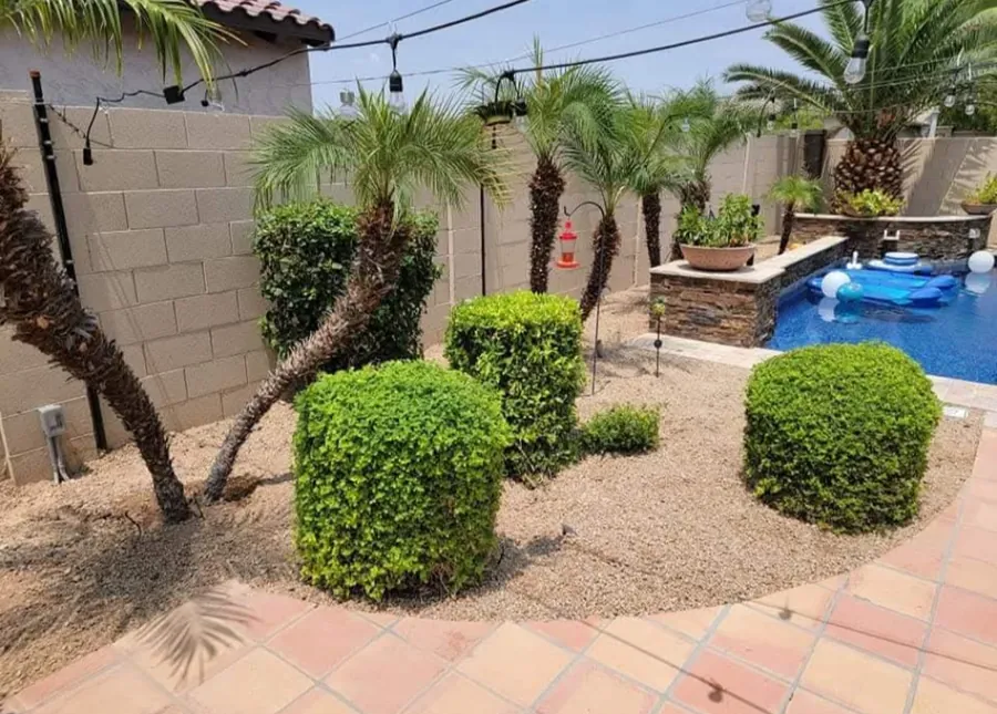 Drip upgrade finished — shrub beds on drip
