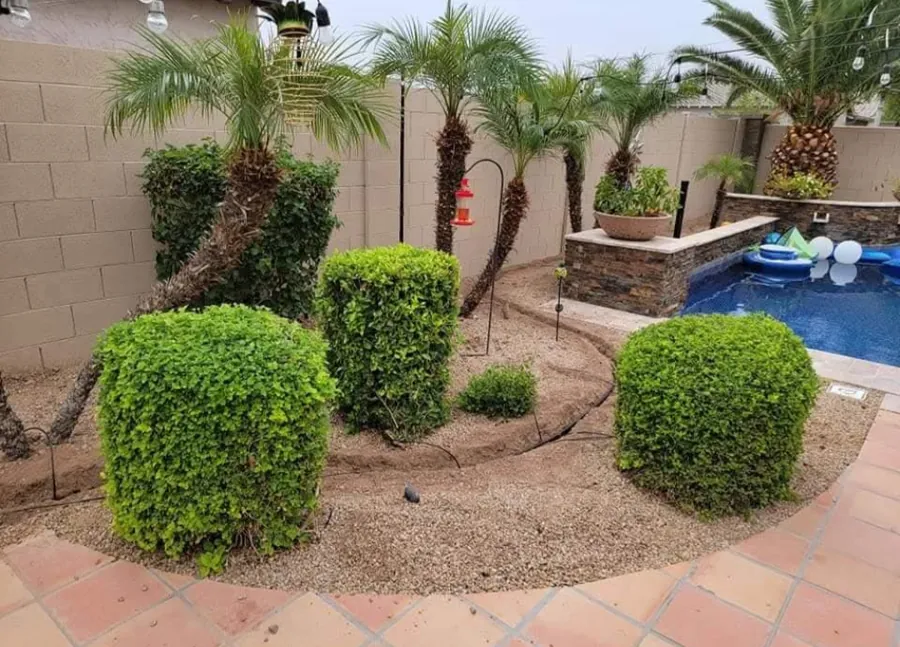 Drip upgrade — new drip line going in around the shrubs